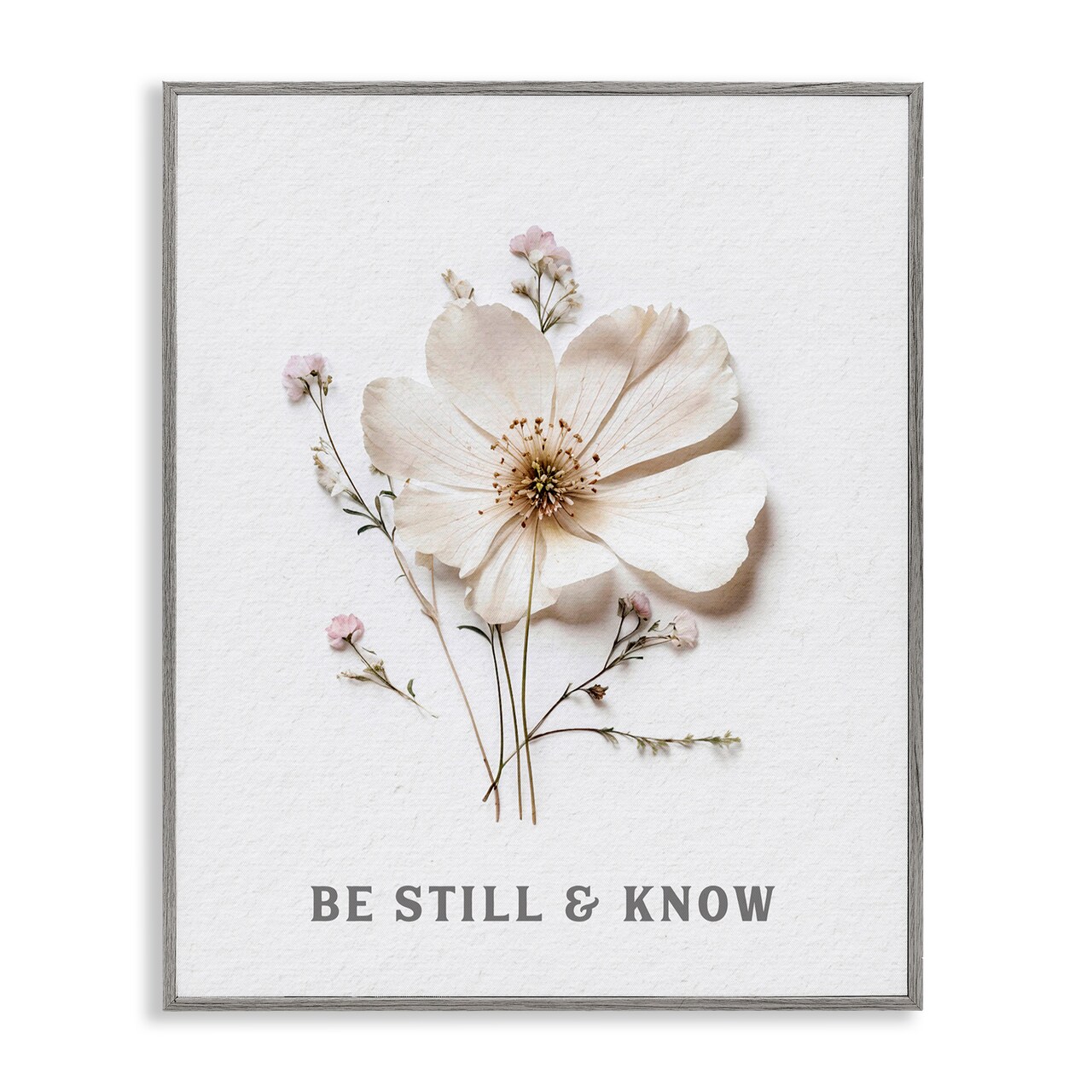 Stupell Industries Be Still & Know Pressed Flowers Framed Giclee, design by Lettered and Lined